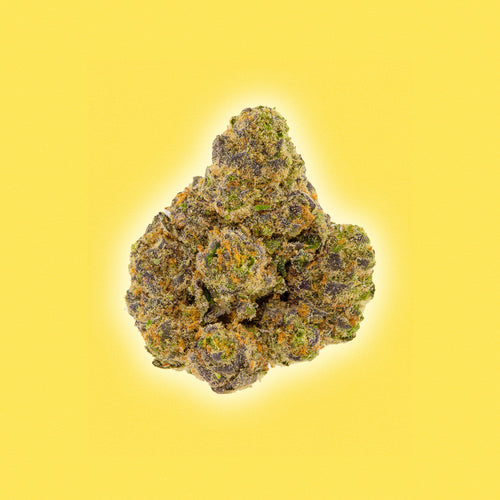 Lemon Cherry Gelato - THCa Flower - Hybrid