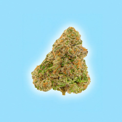Rainbow Belts - THCa Flower - Indica